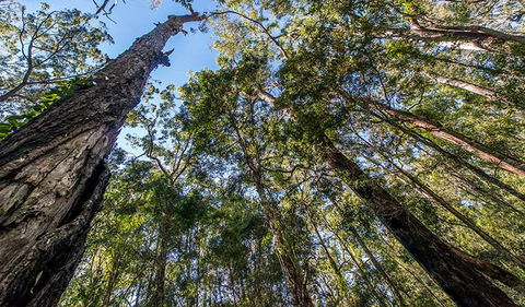 Brimbin Nature Reserve - Accommodation Broome 3