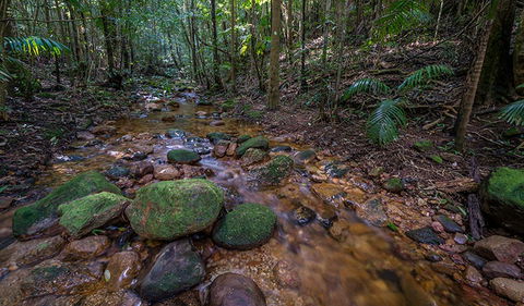 Starrs Creek Picnic Area - Accommodation Broome 0