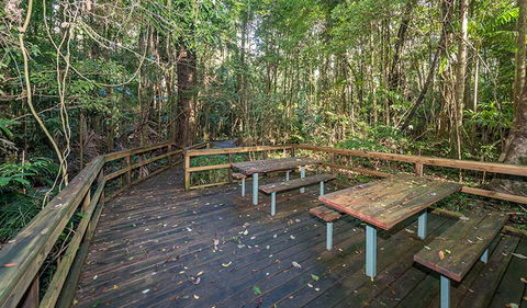 Starrs Creek Picnic Area - Accommodation Broome 1