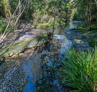 Dawson River walking track - Accommodation Broome