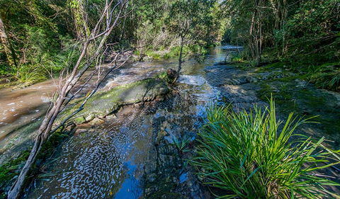Dawson River Walking Track - Accommodation Broome 0