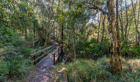 Dawson River Walking Track - Accommodation Broome 1