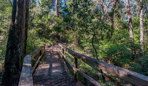Dawson River Walking Track - Accommodation Broome 3