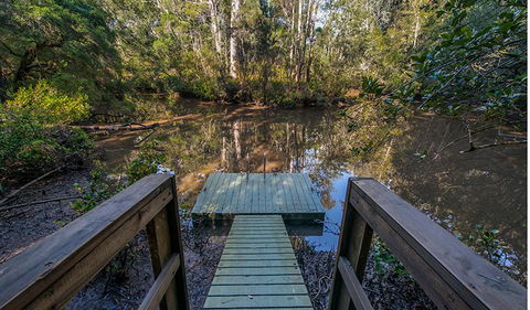 Brimbin Picnic Area - Accommodation Broome 1
