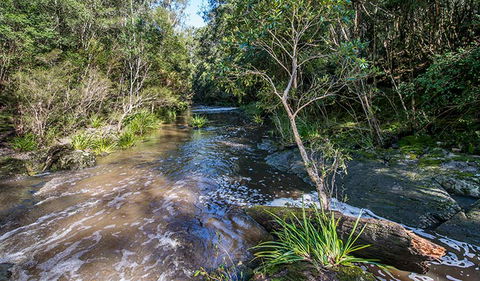 Brimbin Picnic Area - Accommodation Broome 2