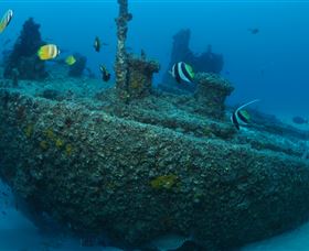 Curtain Artificial Reef Dive Site - Accommodation Broome 1