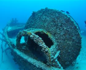 Curtain Artificial Reef Dive Site - Accommodation Broome 3