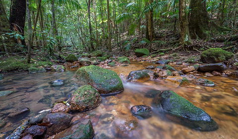 Coorabakh National Park - Accommodation Broome 1