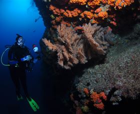 Gotham City Dive Site - Accommodation Broome 0