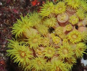 Gotham City Dive Site - Accommodation Broome 2