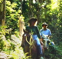 Clarendon Forest Retreat Horse Riding - Accommodation Broome