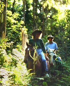Clarendon Forest Retreat Horse Riding - Accommodation Broome 0