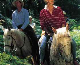 Clarendon Forest Retreat Horse Riding - Accommodation Broome 2