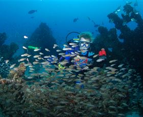 Aarhus Dive Site - Accommodation Broome 0
