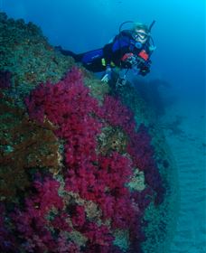 Aarhus Dive Site - Accommodation Broome 2