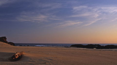 Bongil Bongil National Park - Accommodation Broome 2