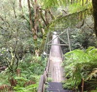 Bemm River Scenic Reserve - Accommodation Broome