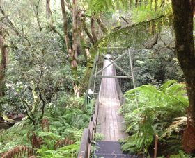 Bemm River Scenic Reserve - Accommodation Broome 0