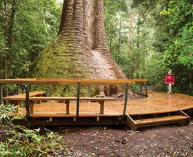 Herons Creek NSW Accommodation Broome