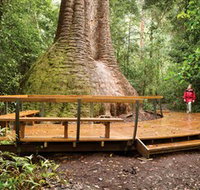 Burrawan State Forest - Accommodation Broome