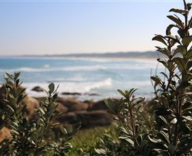 Cape Conran Coastal Park - Accommodation Broome 0