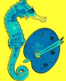 Woolgoolga Art Gallery - Accommodation Broome 0