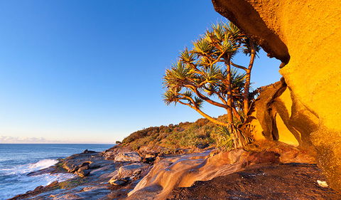 Angourie To Brooms Head - Accommodation Broome 1