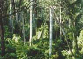 Lind National Park - Accommodation Broome 0