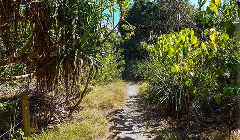 North Head Walking Track - Accommodation Broome 0