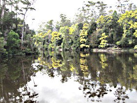 Arthur River TAS Accommodation Broome