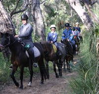 Mirravale Horse Riding School - Accommodation Broome