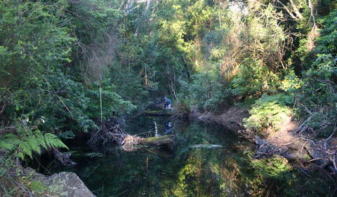 Nadgee Nature Reserve - Accommodation Broome 2