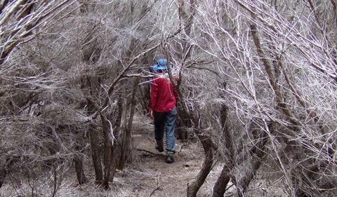 Nadgee Nature Reserve - Accommodation Broome 3