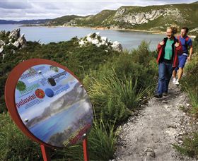 Rocky Cape National Park - Accommodation Broome 0