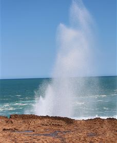 Blowholes And Point Quobba - Accommodation Broome 0
