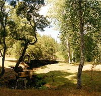 Oldina Picnic Area - Accommodation Broome
