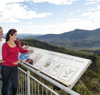 Whyte Hills Lookout