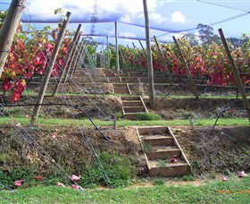 Motton Terraces - Accommodation Broome 2