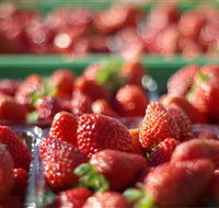 Turners Beach Berry Patch - Accommodation Broome