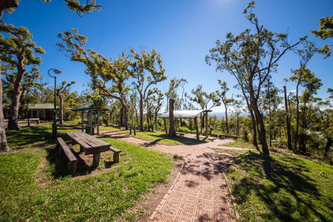 Rockhampton To Carnarvon Gorge Four Night Drive - Accommodation Broome 2
