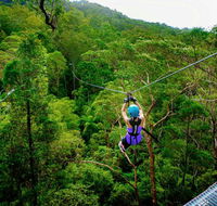 Canyon Flyer