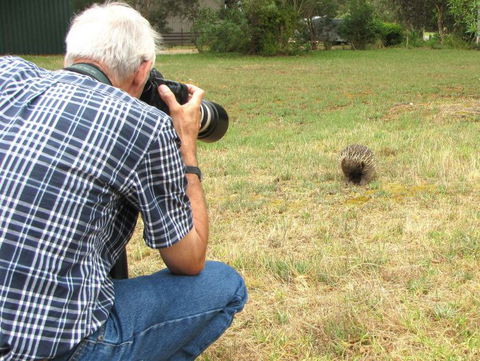 Echidna Walkabout Nature Tours - Accommodation Broome 10