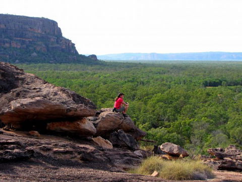 Echidna Walkabout Nature Tours - Accommodation Broome 21