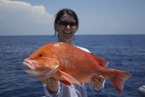 Absolute Ocean Charters - Accommodation Broome 6