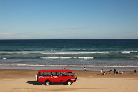 Port Stephens 4WD Tours - Accommodation Broome 9