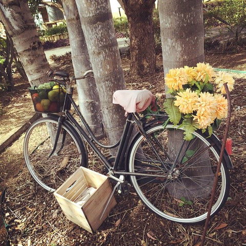 Childers Wine Trail - Accommodation Broome 11