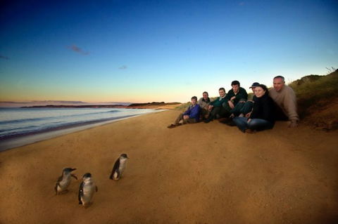 Melbourne Coastal Touring - Accommodation Broome 2