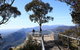 Australian Natural Treasures Touring - thumb 9
