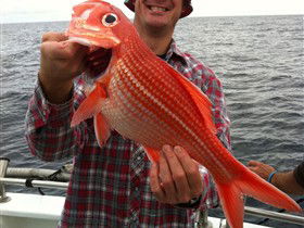 Goin' Off Safaris - Accommodation Broome 0