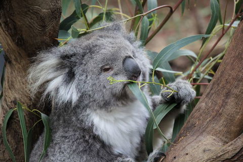 Oceania Tours And Safaris - Accommodation Broome 1